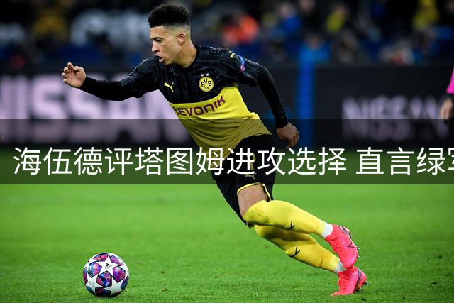 海伍德评塔图姆进攻选择 直言绿军需补充全明星战力